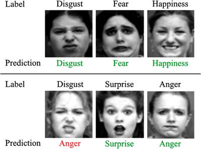 Facial emotion recognition clearance using deep learning